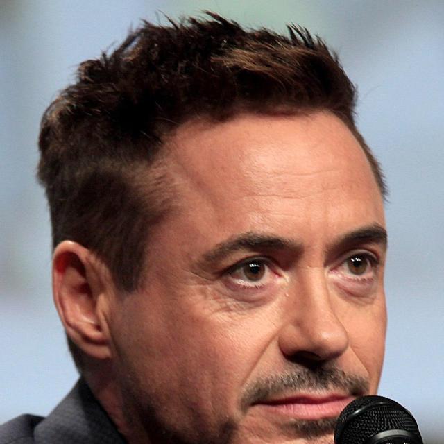 Robert Downey Jr. watch collection